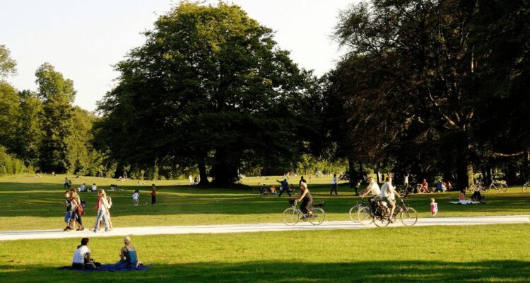 Raise your vibrational frequency in nature.