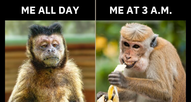 Is that really LAZINESS?