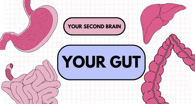 you gut your second brain.